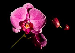 JHM_2664_1