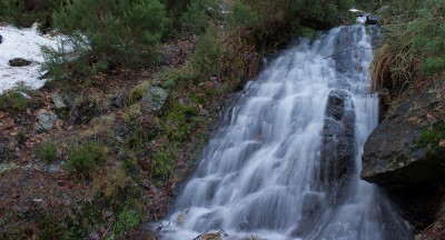 canencia